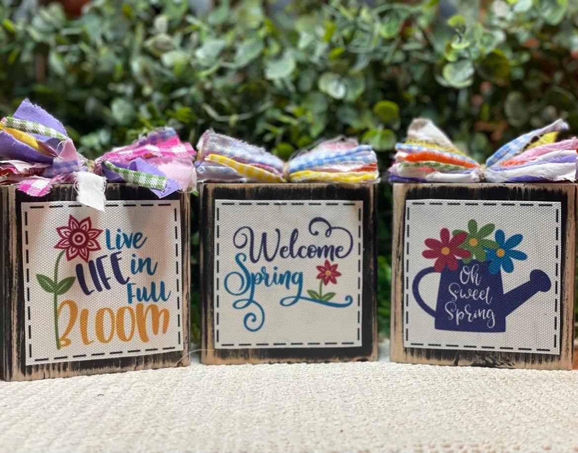 March 19 - Sunday, 2-4pm Shelf Sitter Workshop